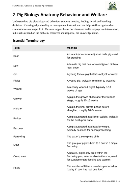 Updated October 2026 edition; actual interior page 10. Detailed Pig, English.