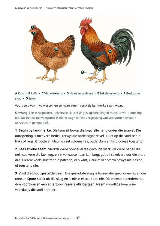 Hersiene Oktober 2026-uitgawe; werklike binneblad 47. Master Poultry, Afrikaans.