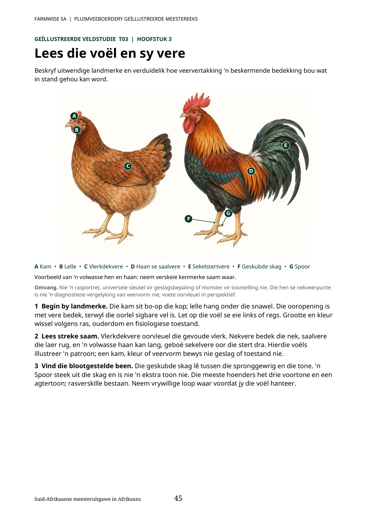 FarmWise SA Pluimveeboerdery – Afrikaanse binnebladvoorskou. Bladsy 45: Lees die voël en sy vere.