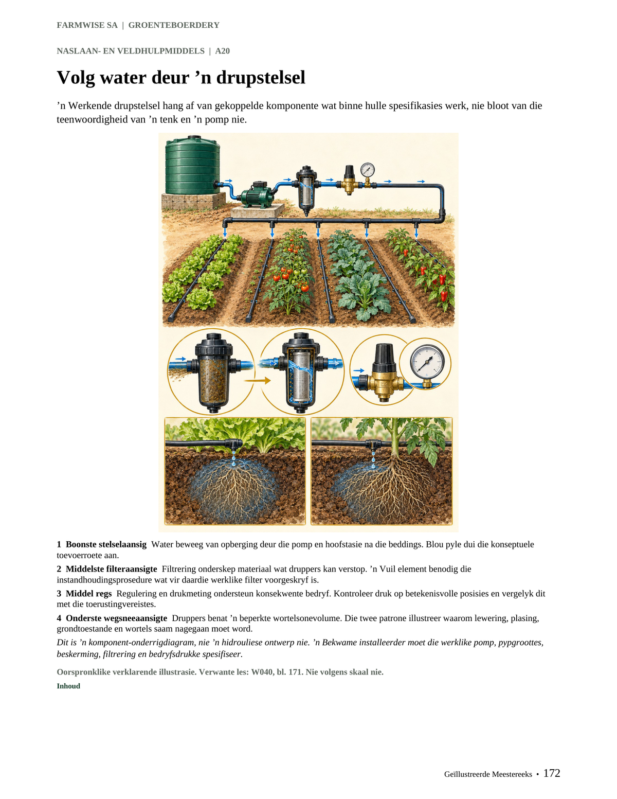 FarmWise SA Groenteboerdery – Afrikaanse binnebladvoorskou. Bladsy 172: Volg water deur ’n drupstelsel.