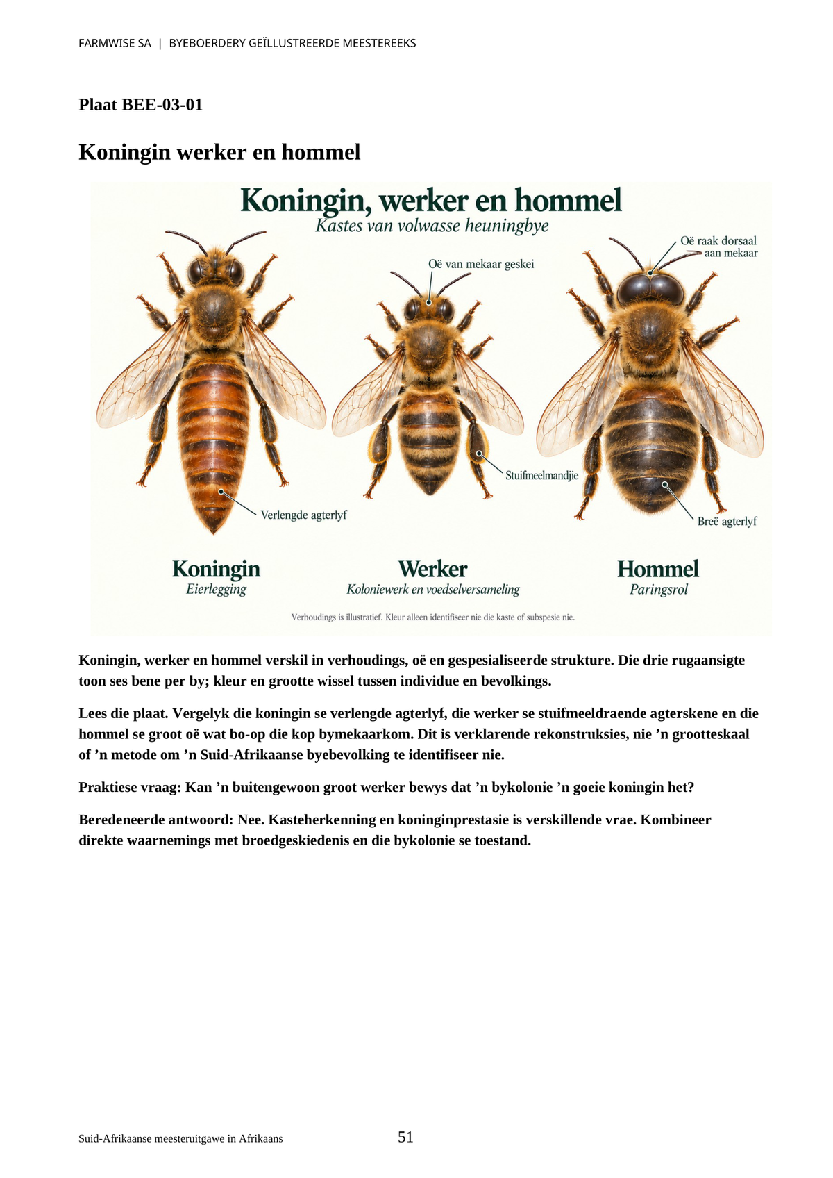 Byeboerdery, bladsy 51: Koningin, werker en hommel.
