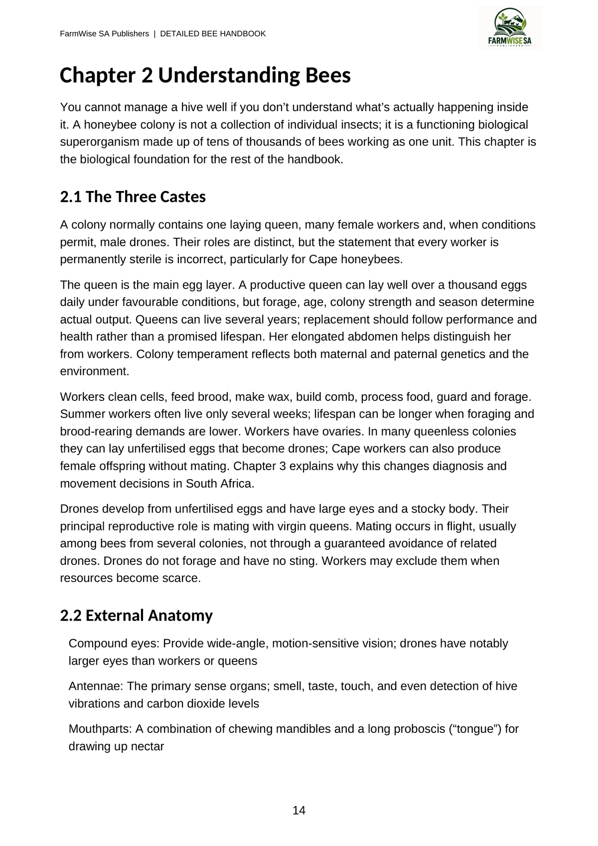Updated October 2026 edition; actual interior page 14. Detailed Bee, English.