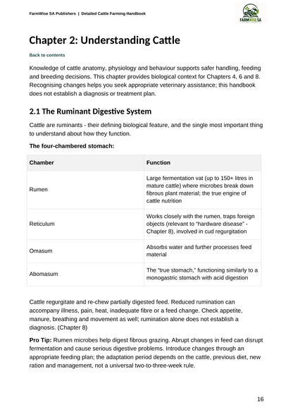 Updated October 2026 edition; actual interior page 16. Detailed Cattle, English.