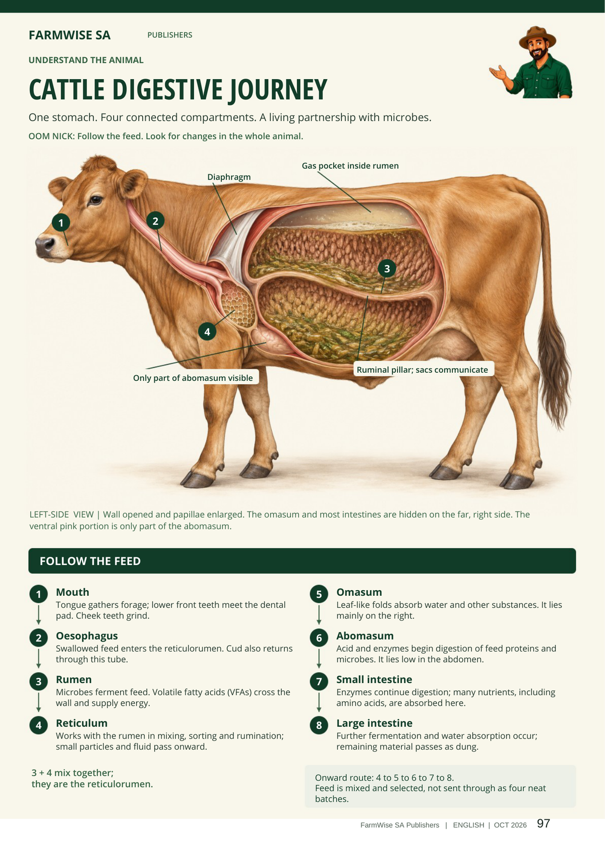 Updated October 2026 edition; actual interior page 97. Master Cattle, English.