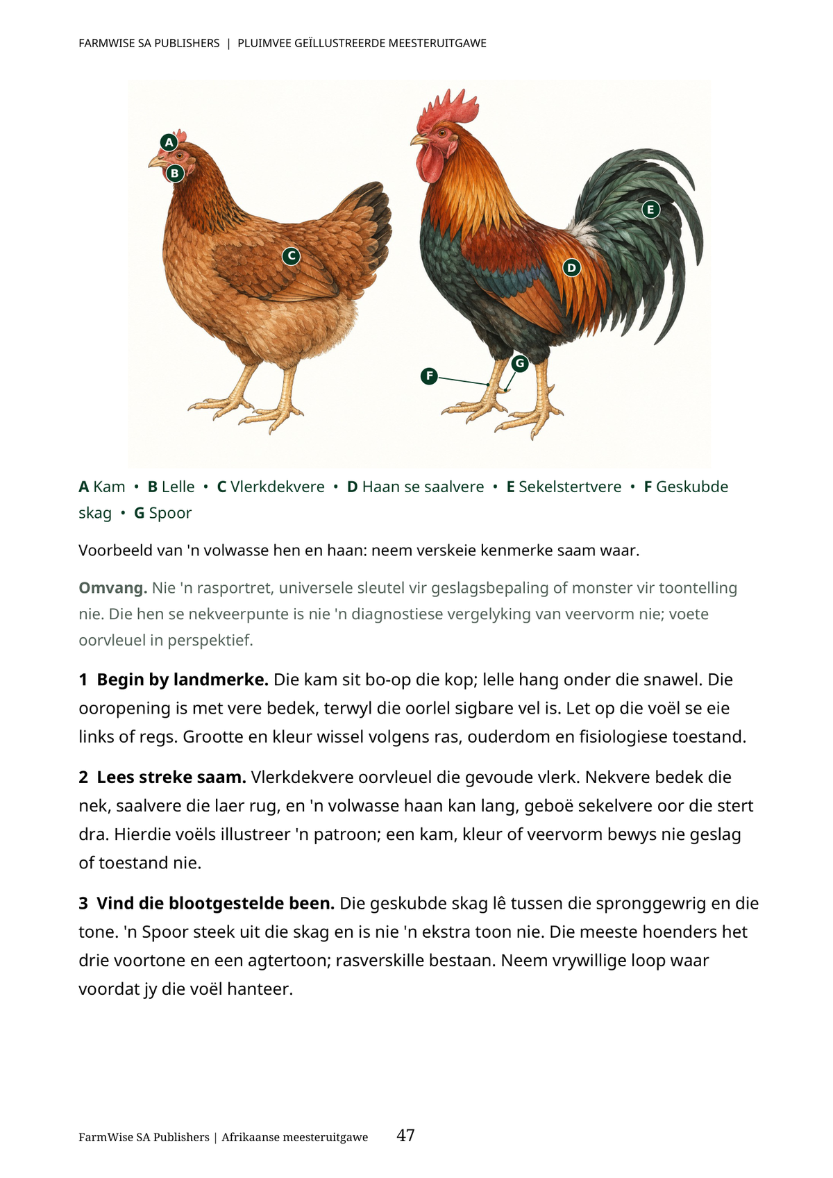 Hersiene Oktober 2026-uitgawe; werklike binneblad 47. Master Poultry, Afrikaans.