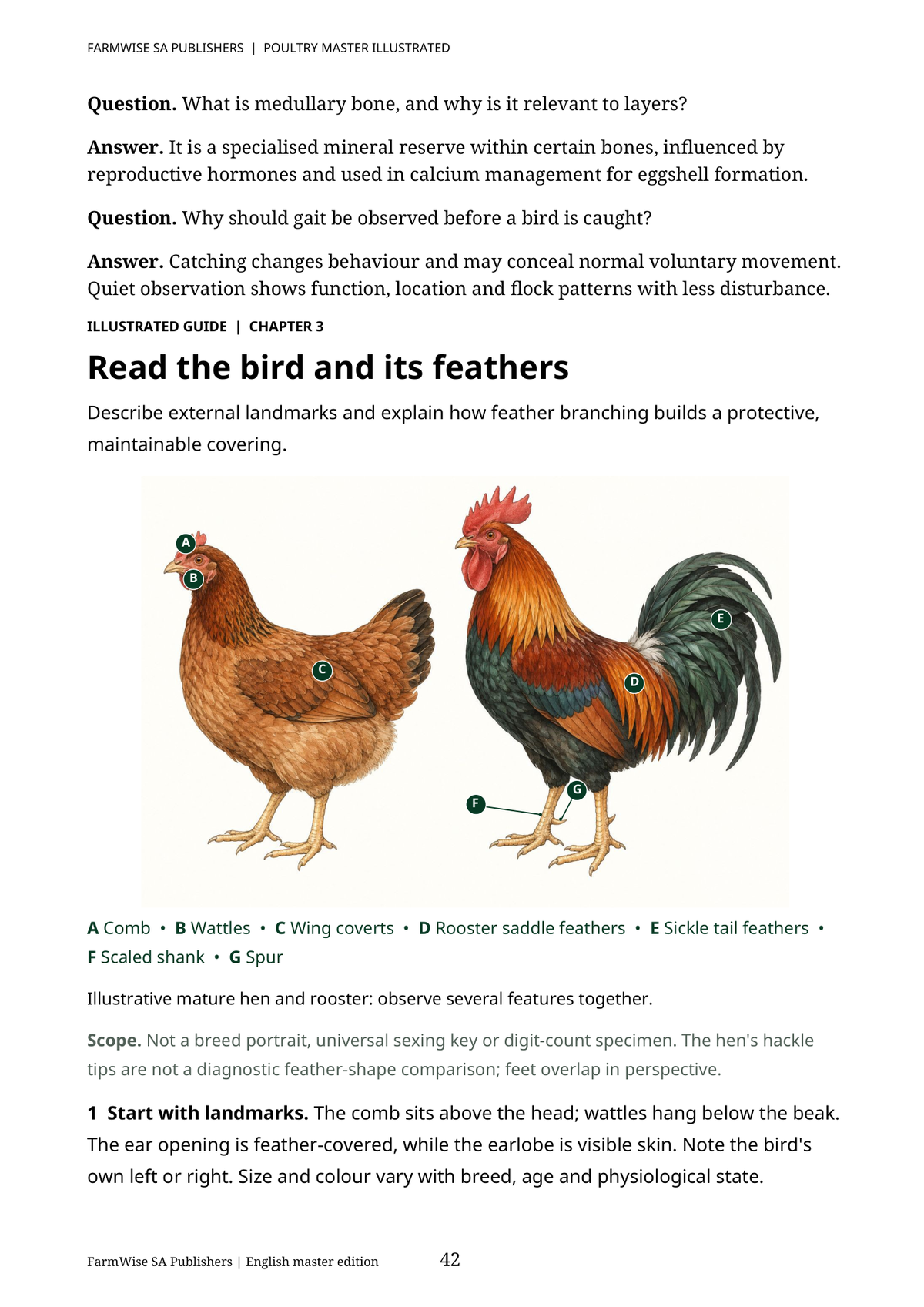 Updated October 2026 edition; actual interior page 42. Master Poultry, English.