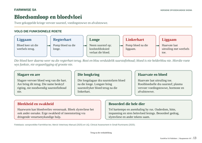 Hersiene Oktober 2026-uitgawe; werklike binneblad 13. Master Sheep, Afrikaans.