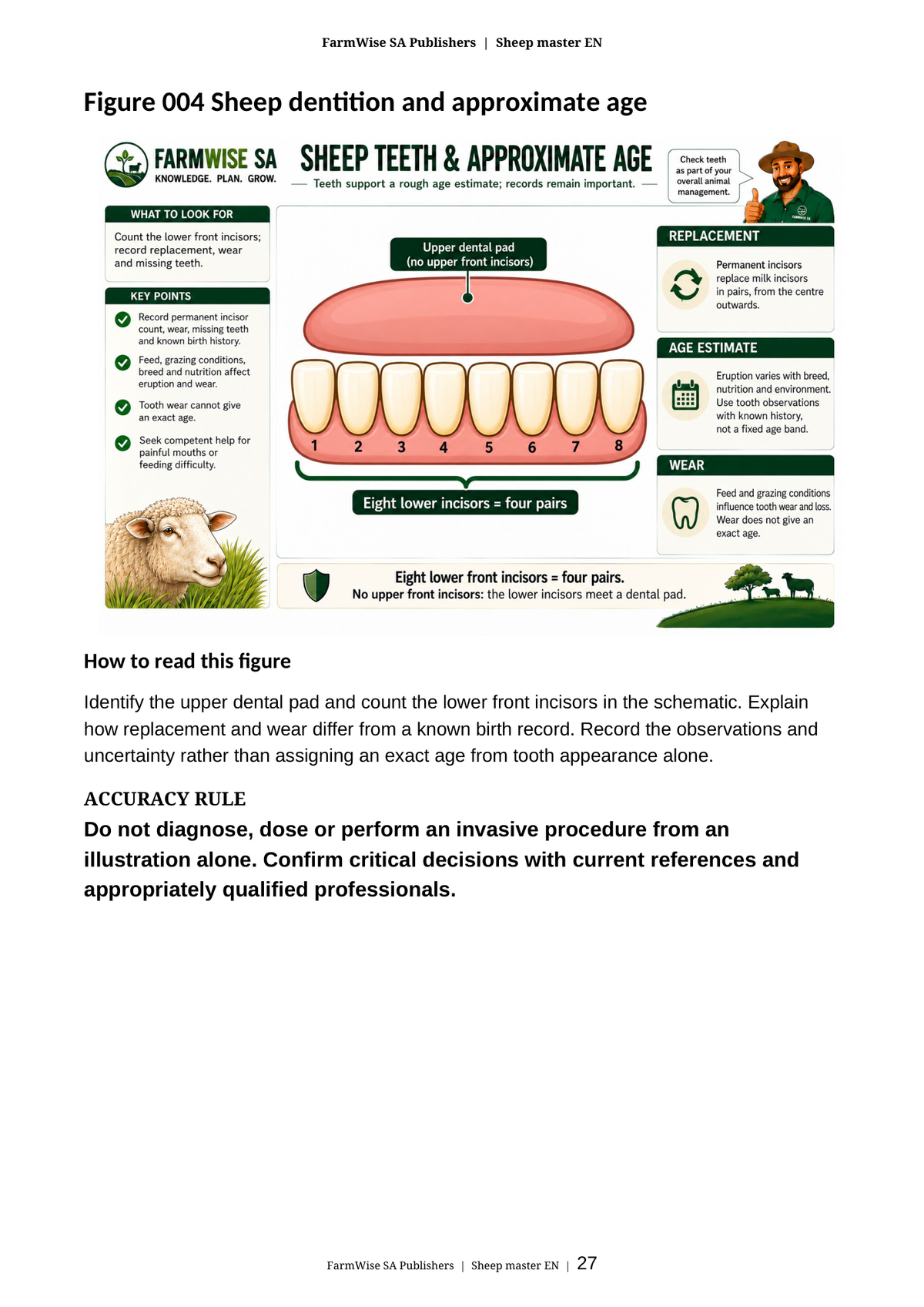 Updated October 2026 edition; actual interior page 27. Master Sheep, English.