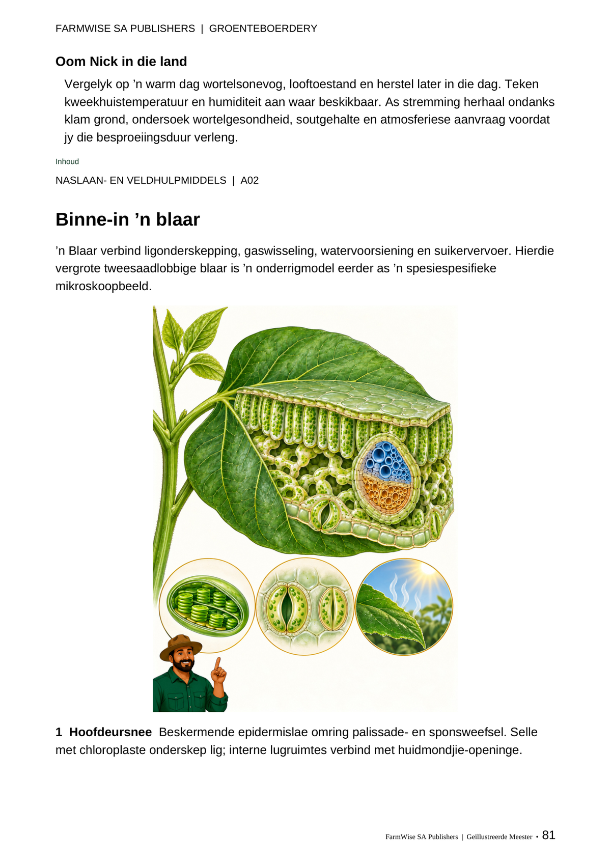 Hersiene Oktober 2026-uitgawe; werklike binneblad 81. Master Vegetable, Afrikaans.