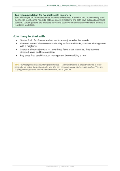 Sheep Farming | Backyard Edition Handbook – sample page 5