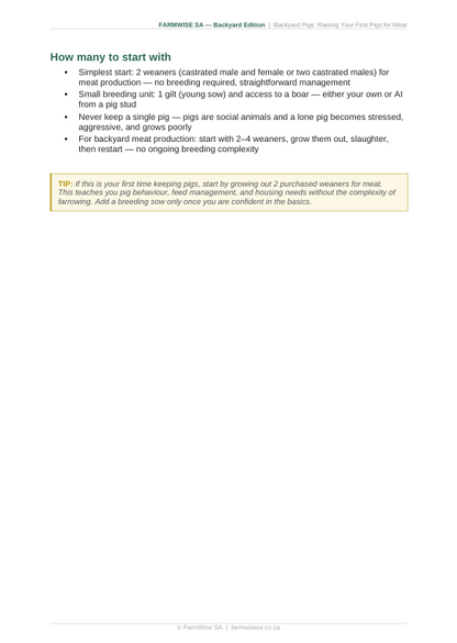 Pig Farming | Backyard Edition Handbook – sample page 1