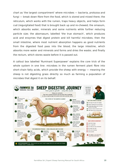 New Master Illustrated Sheep Edition – sample page 5