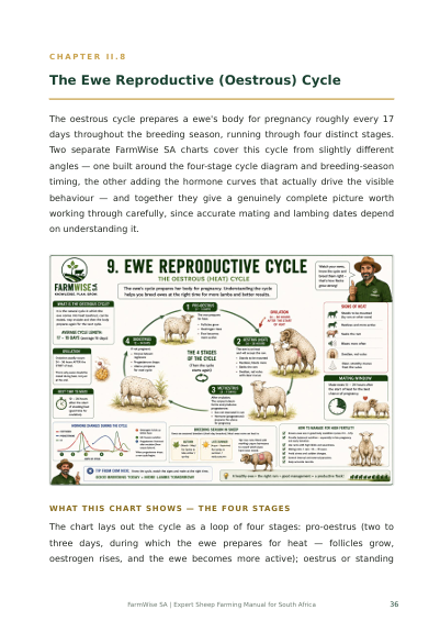 New Master Illustrated Sheep Edition – sample page 8