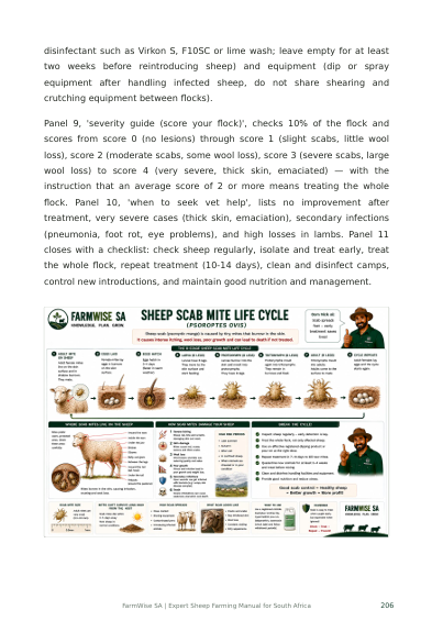New Master Illustrated Sheep Edition – sample page 9