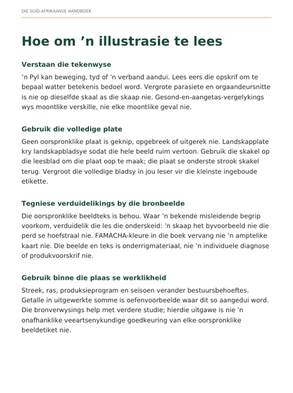 Geïllustreerde Meestereeks Skaapboerdery Handboek (Afrikaans)
