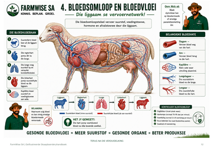 Geïllustreerde Meestereeks Skaapboerdery Handboek (Afrikaans)