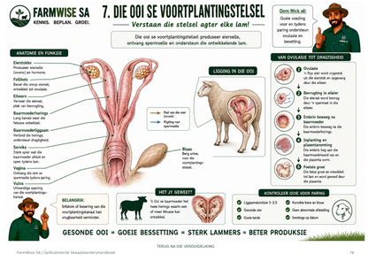 Geïllustreerde Meestereeks Skaapboerdery Handboek (Afrikaans)