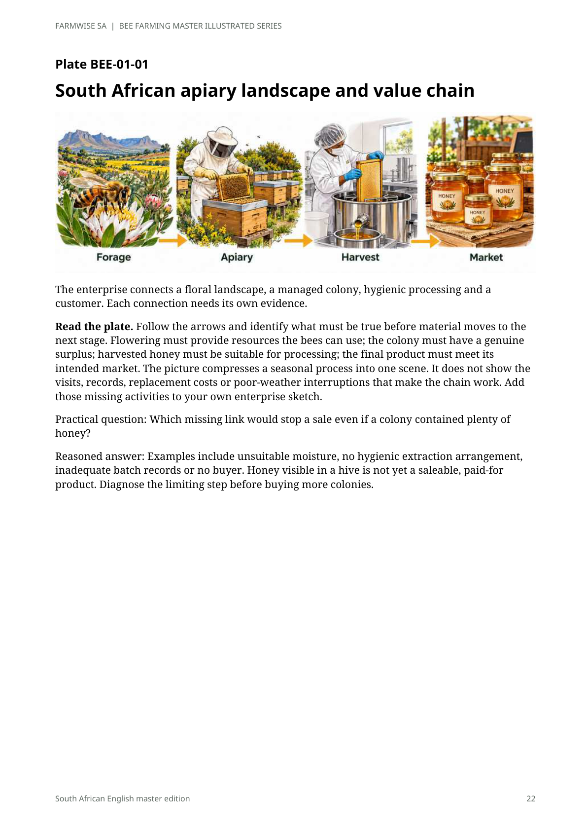 Bee Farming handbook sample page 22: illustrated apiary landscape and honey value chain