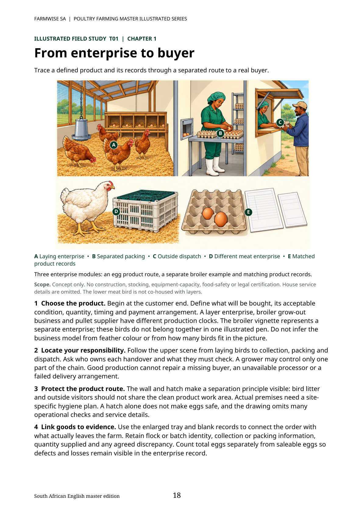 Poultry Farming handbook sample page 18: illustrated egg enterprise and buyer route