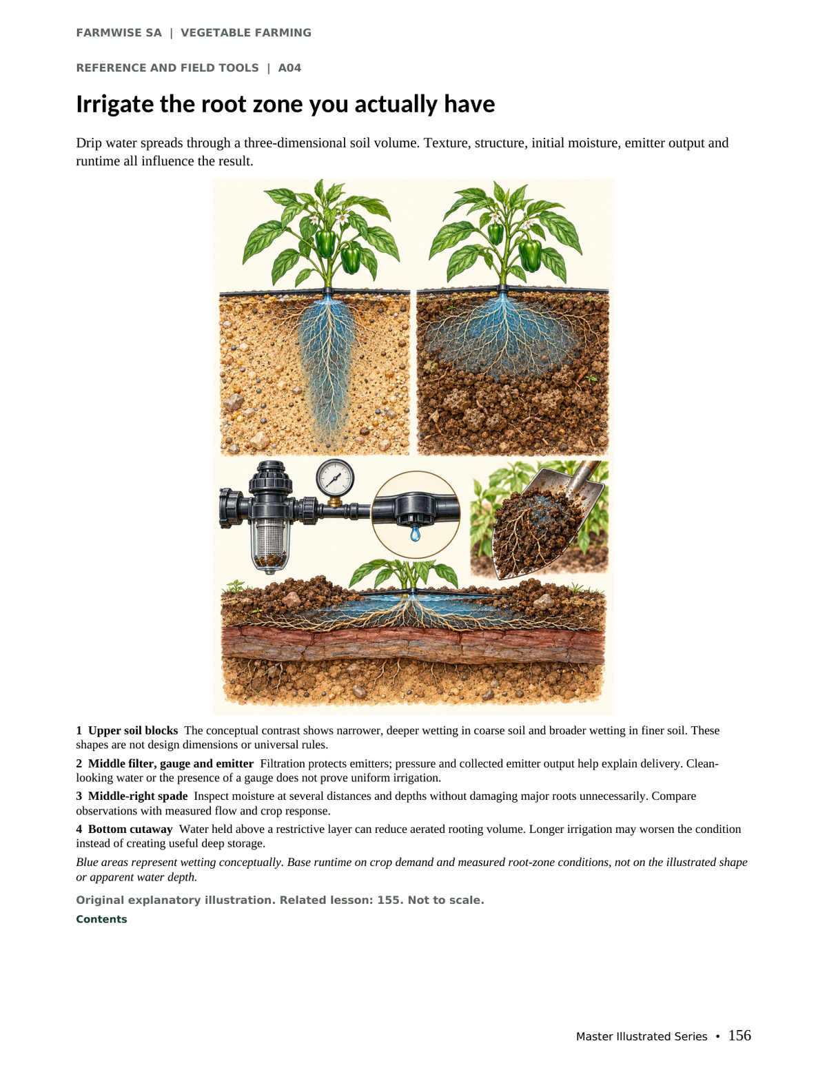 Vegetable Farming handbook sample page 156: drip irrigation wetting and root zone
